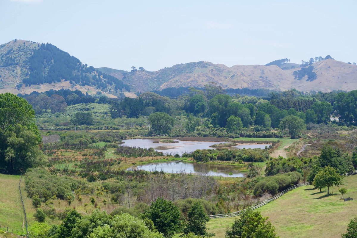 93 Koutunui Road, Athenree, Katikati - Carousel 2