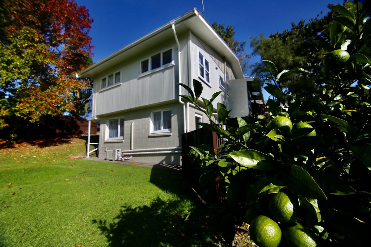 11A Captain Scott Road, Glen Eden, Auckland - Carousel 2