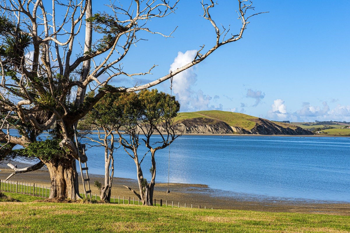 164 Beatson Road, Whakapirau - Carousel 2