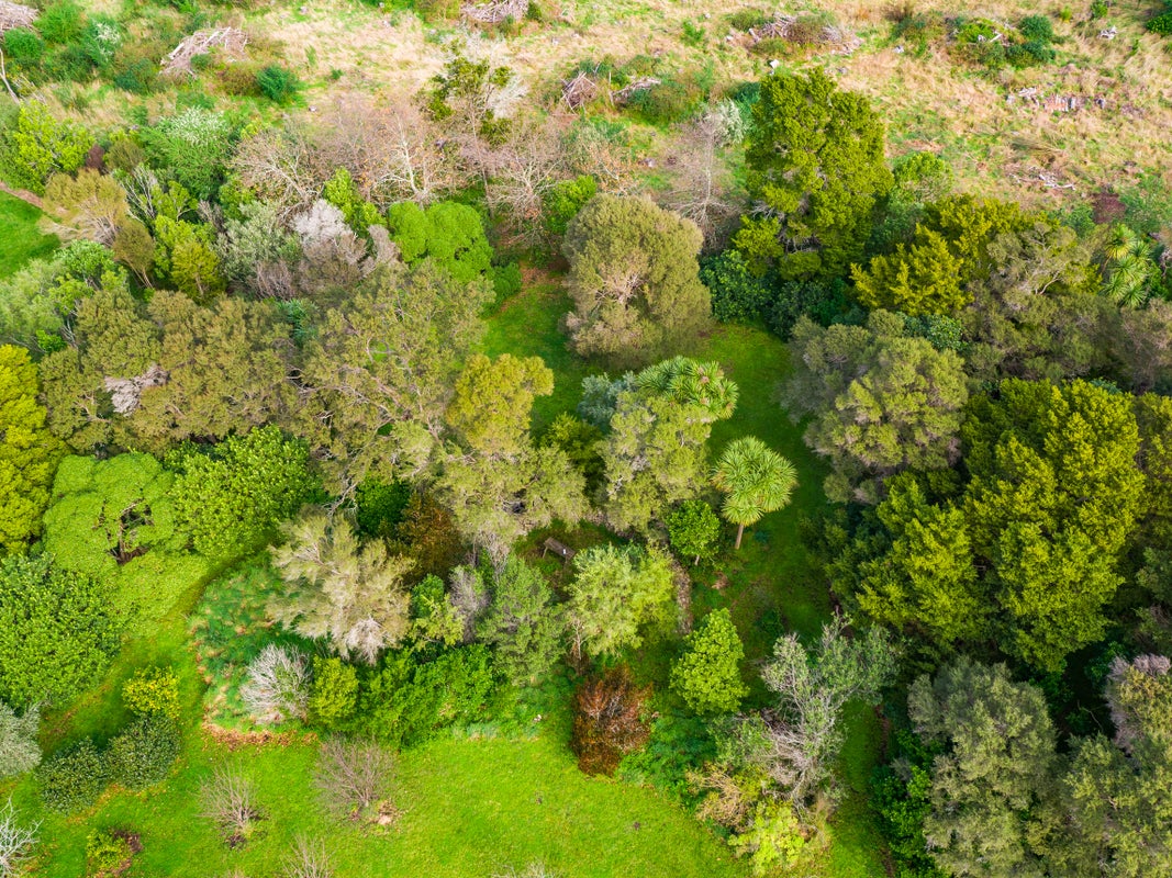 17 Tararua Drive, Upper Plain, Masterton - Carousel 21