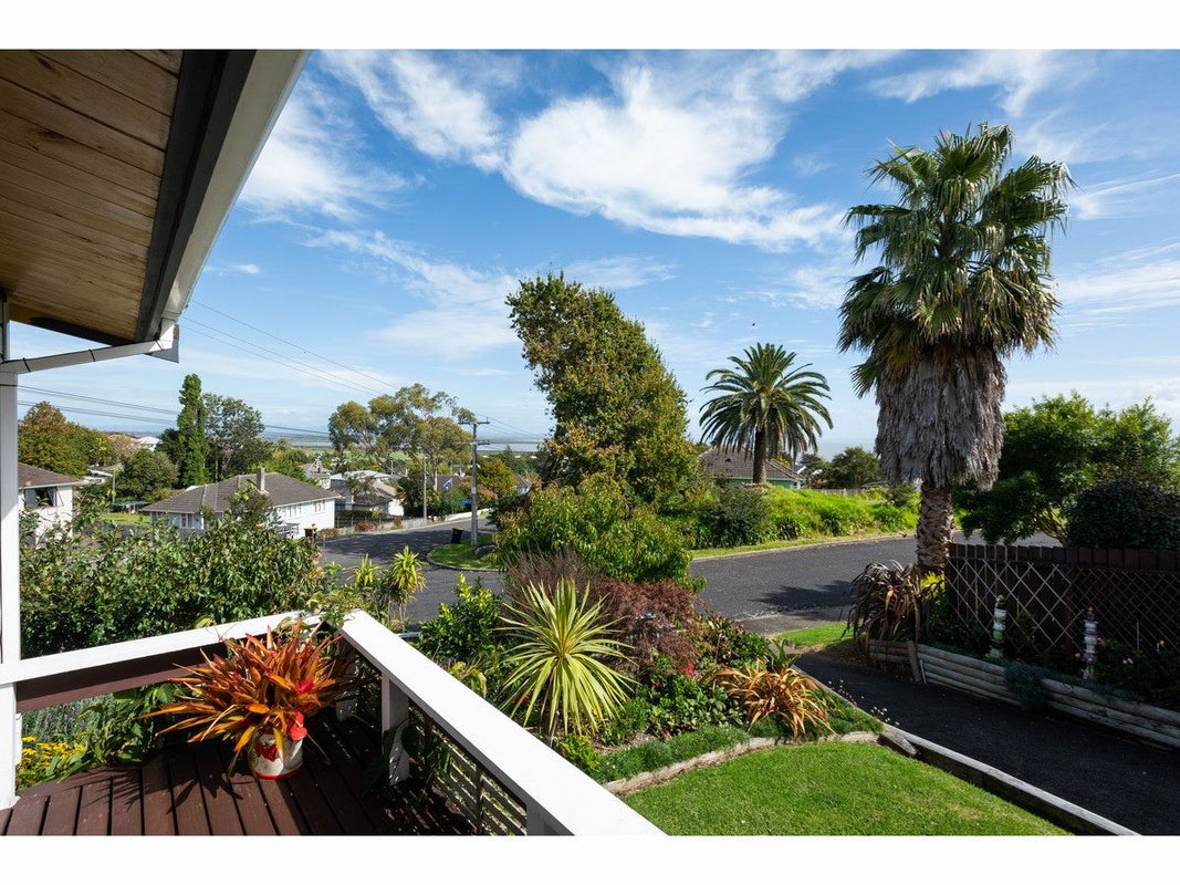 200 Danby Street, Thames, Thames - Carousel 2