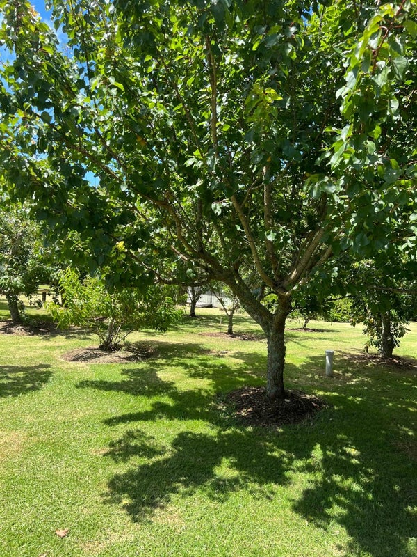 2408 Awhitu Road, Waiuku - Carousel 11
