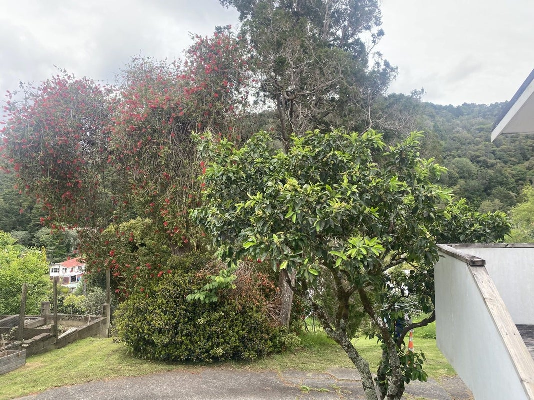 23A Paratai Crescent, Woodhill, Whangarei - Carousel 13