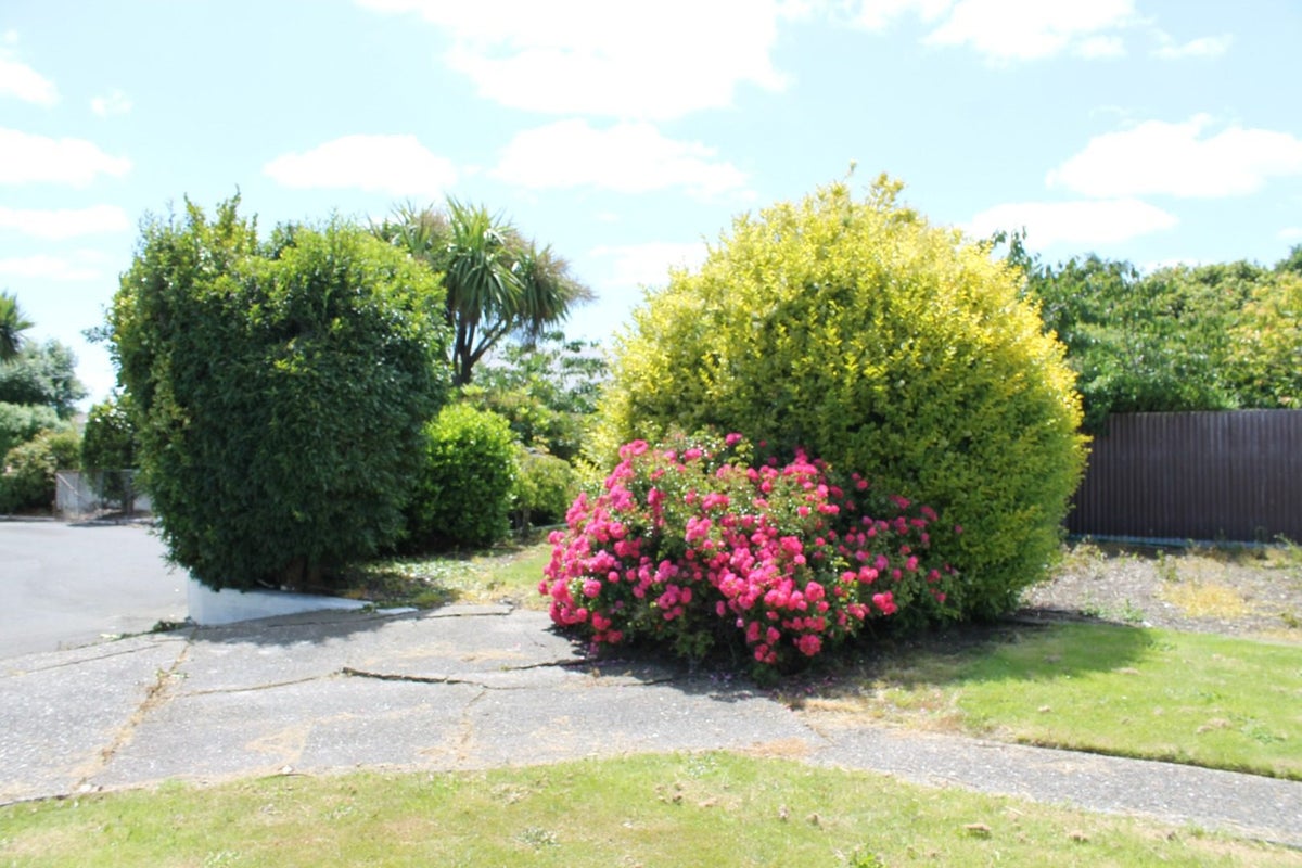 101 Dome Street, Newfield, Invercargill - Carousel 8
