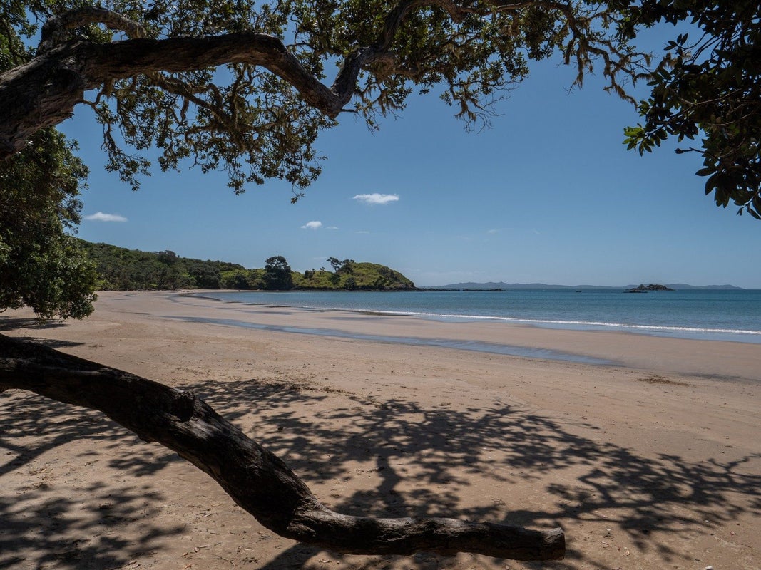 23A Bayside Drive, Coopers Beach, Coopers Beach - Carousel 36