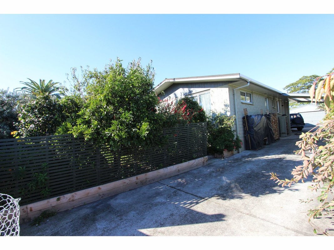 21 Shirtliff Street, Riversdale, Blenheim - Carousel 27