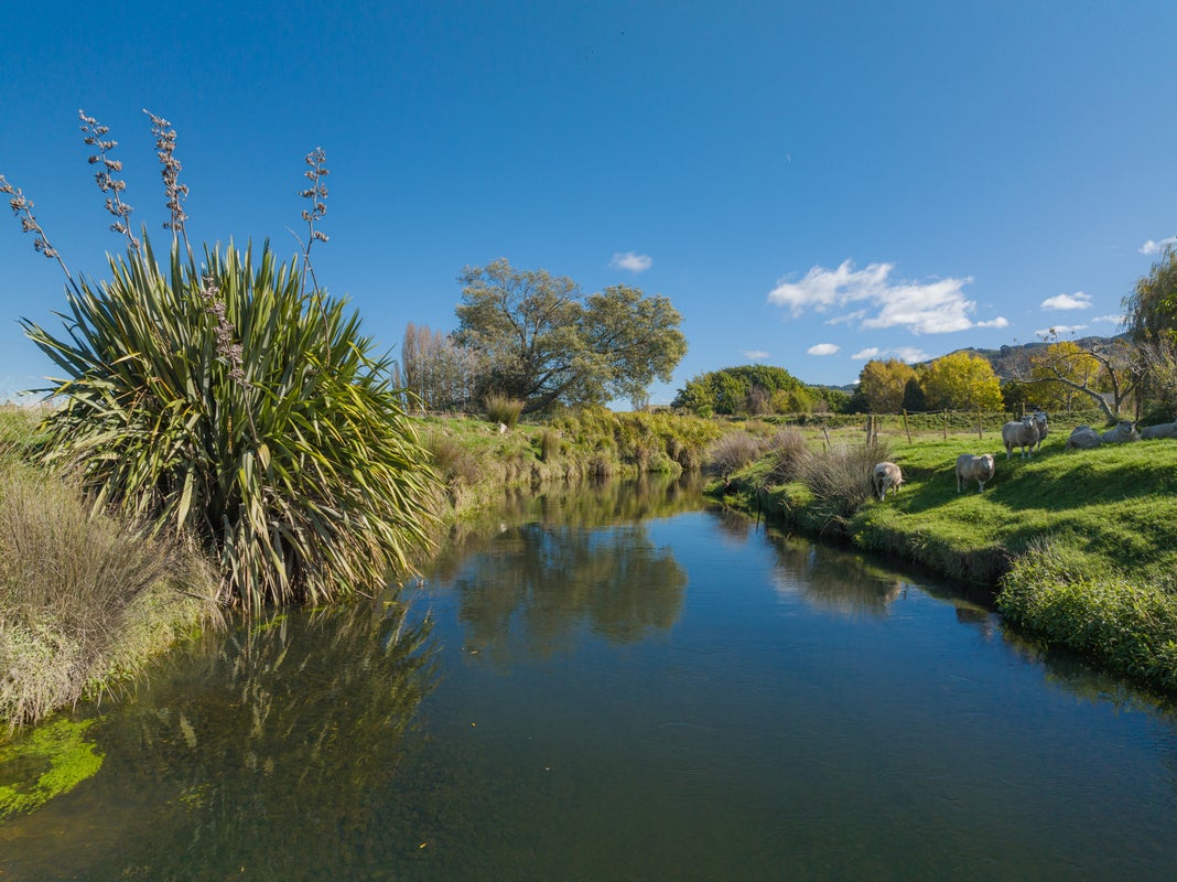1866 State Highway 1, Tuamarina, Blenheim - Carousel 2