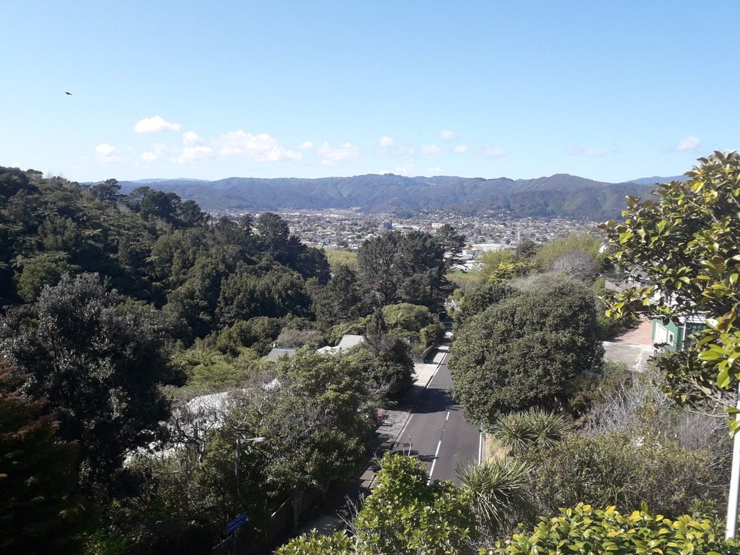 32 City View Grove, Harbour View, Lower Hutt - Carousel 14