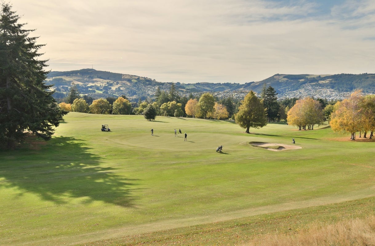 185 Balmacewen Road, Wakari, Dunedin - Carousel 31
