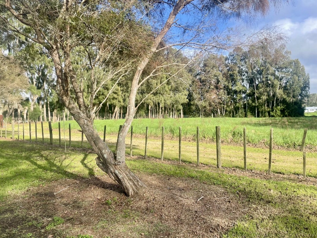44A Wilks Road, Albany - Carousel 13