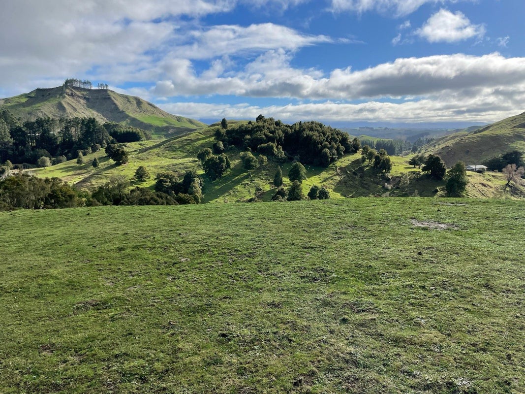 38 Ruhi Road, Dannevirke - Carousel 1