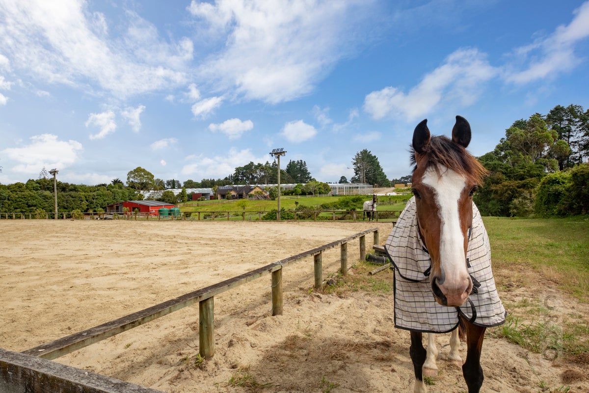 17 Deacon Road, Kumeu - Carousel 35