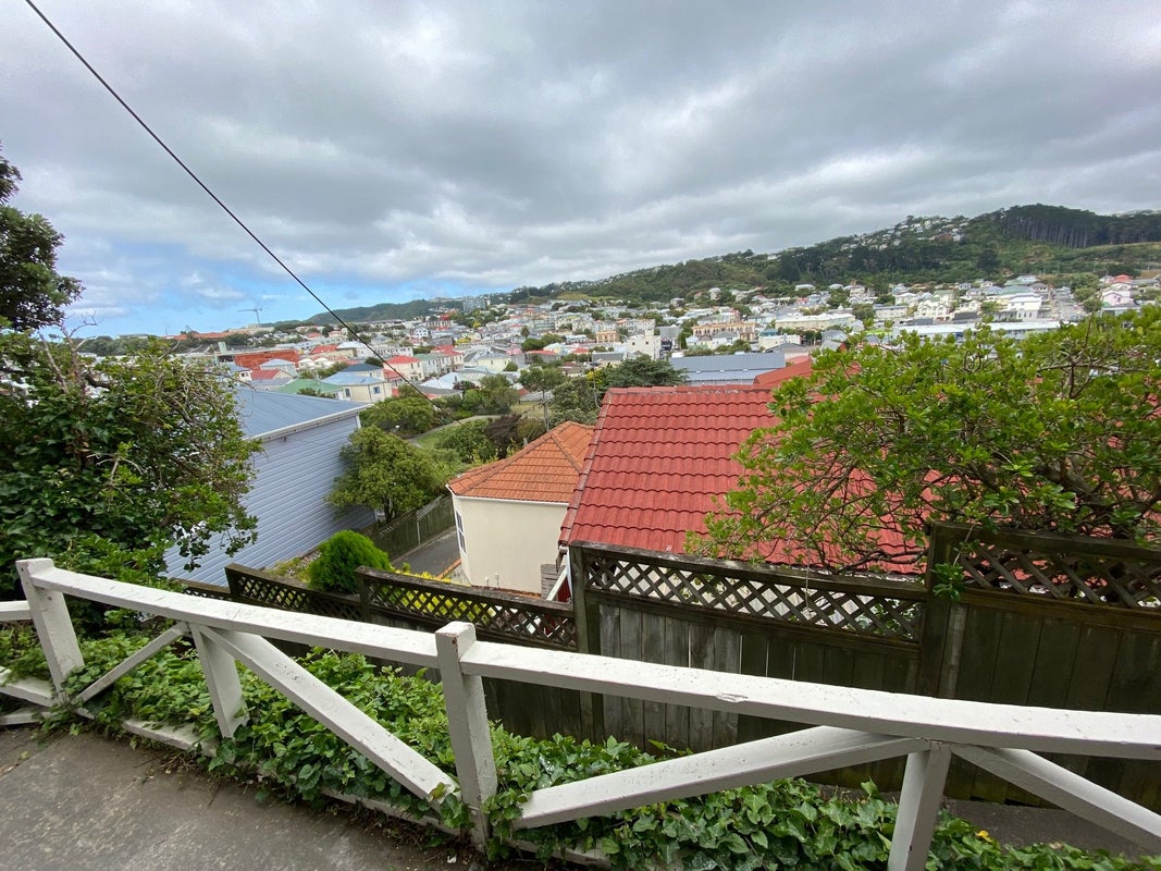 31 Daniell Street, Newtown, Wellington - Carousel 11