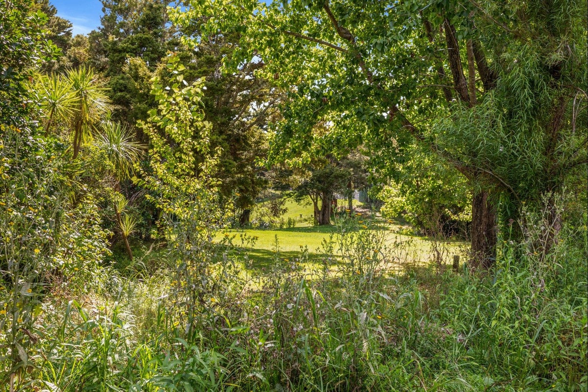 54 De Boer Lane, Kaiwaka - Carousel 18