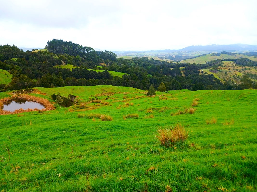 0 Fisher-Riley Road, Kaitaia, Kaitaia - Carousel 2