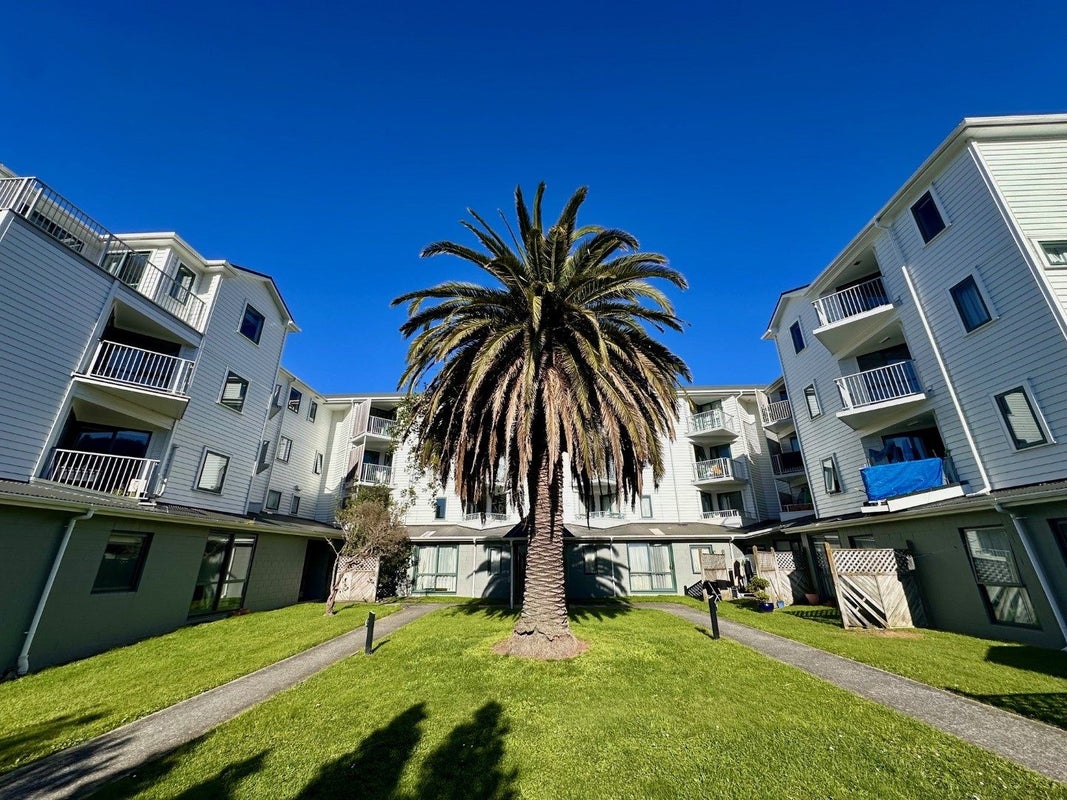 D14/13 Palm Grove, Berhampore, Wellington - Carousel 1