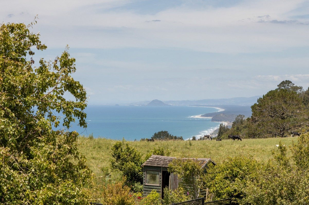 227 Heard Road, Waihi, Waihi - Carousel 27