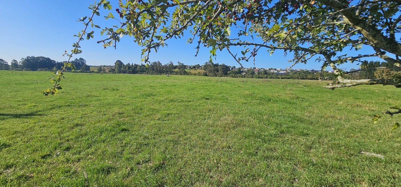 0 Rockdale Road, Fairview, Timaru - Carousel 2