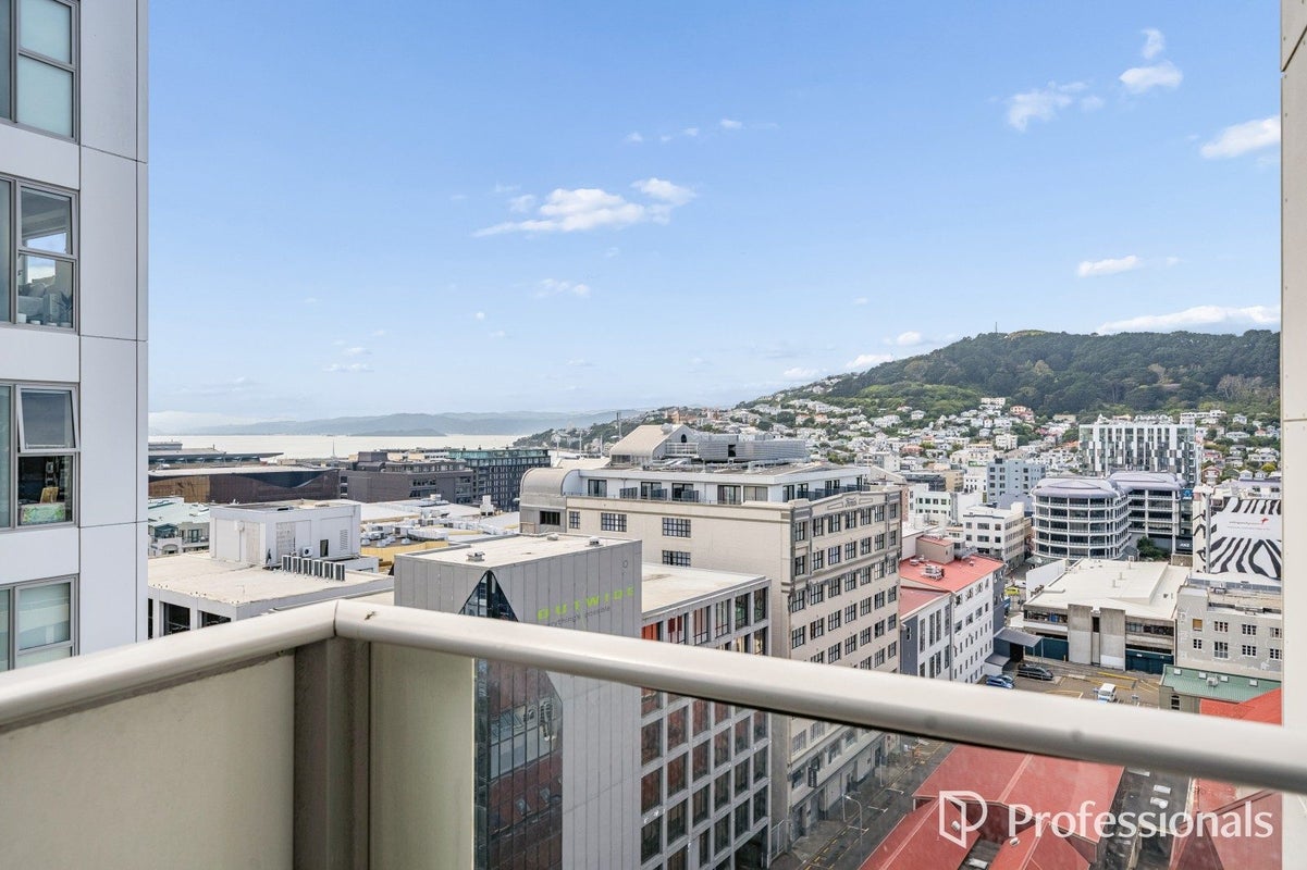 1213/74 Taranaki Street, Te Aro, Wellington - Carousel 1
