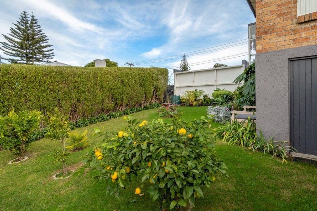 42A Brookfield Terrace, Brookfield, Tauranga - Carousel 14
