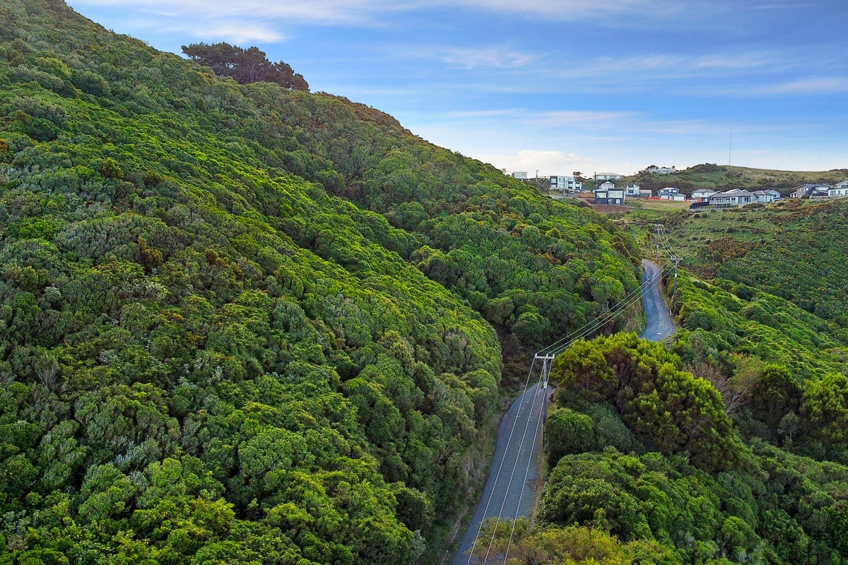 166 Glanmire Road, Newlands, Wellington - Carousel 13