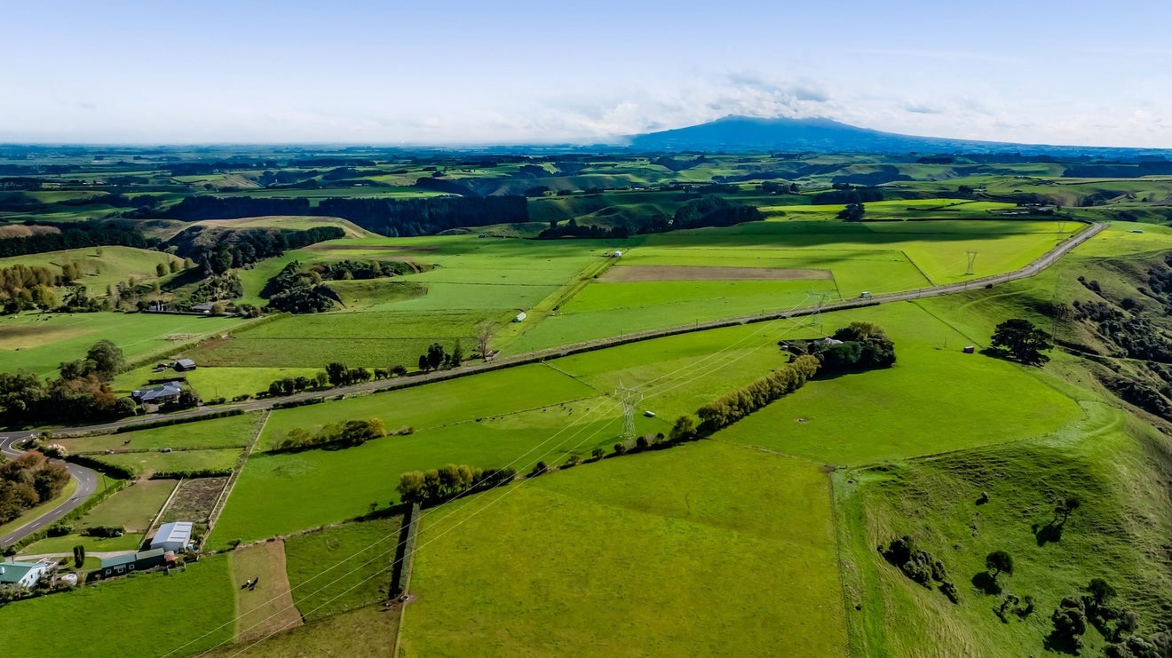 724 Ararata Road, Hawera - Carousel 50