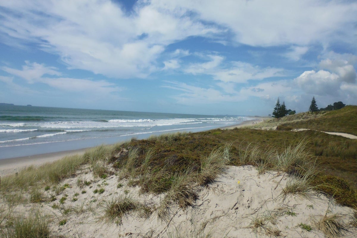 3 Shaun Close, Papamoa Beach, Papamoa - Carousel 1
