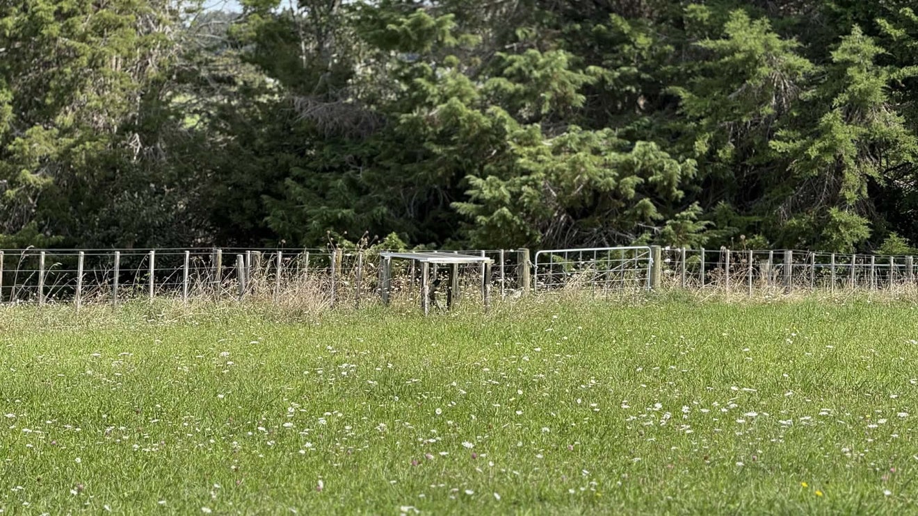 33 Signal Road, Okaihau, Okaihau - Carousel 14