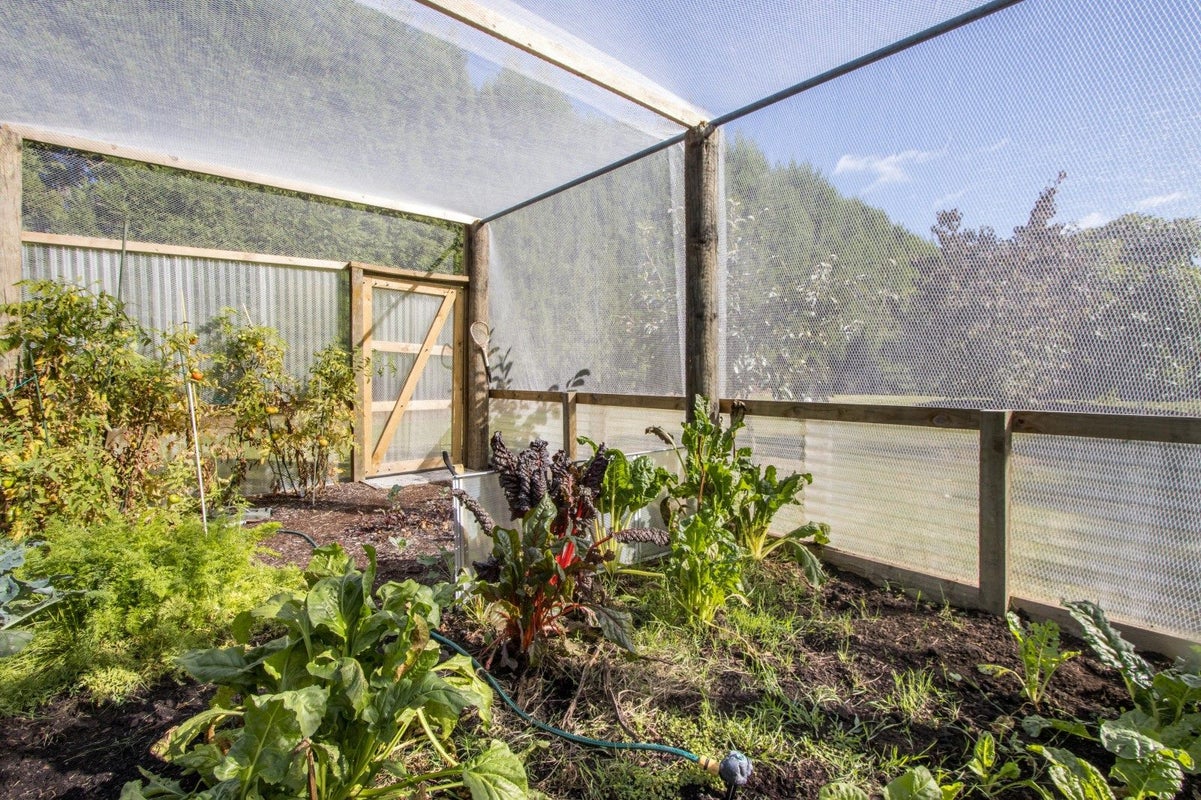 360 Wharawhara Road, Tahawai, Katikati - Carousel 26