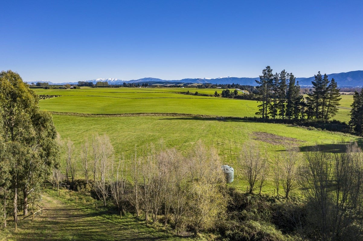 655 Mount Thomas Road, Fernside, Rangiora - Carousel 8