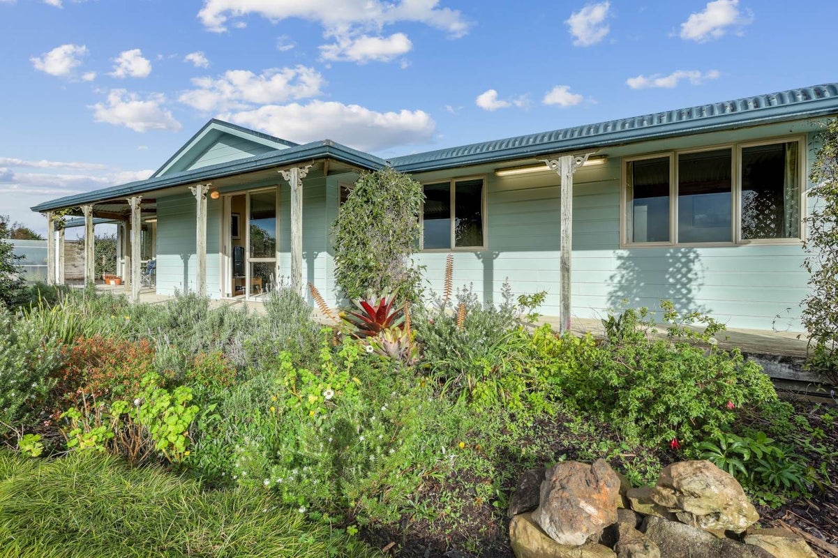 263 Devich Road, Mangawhai, Kaiwaka - Carousel 2