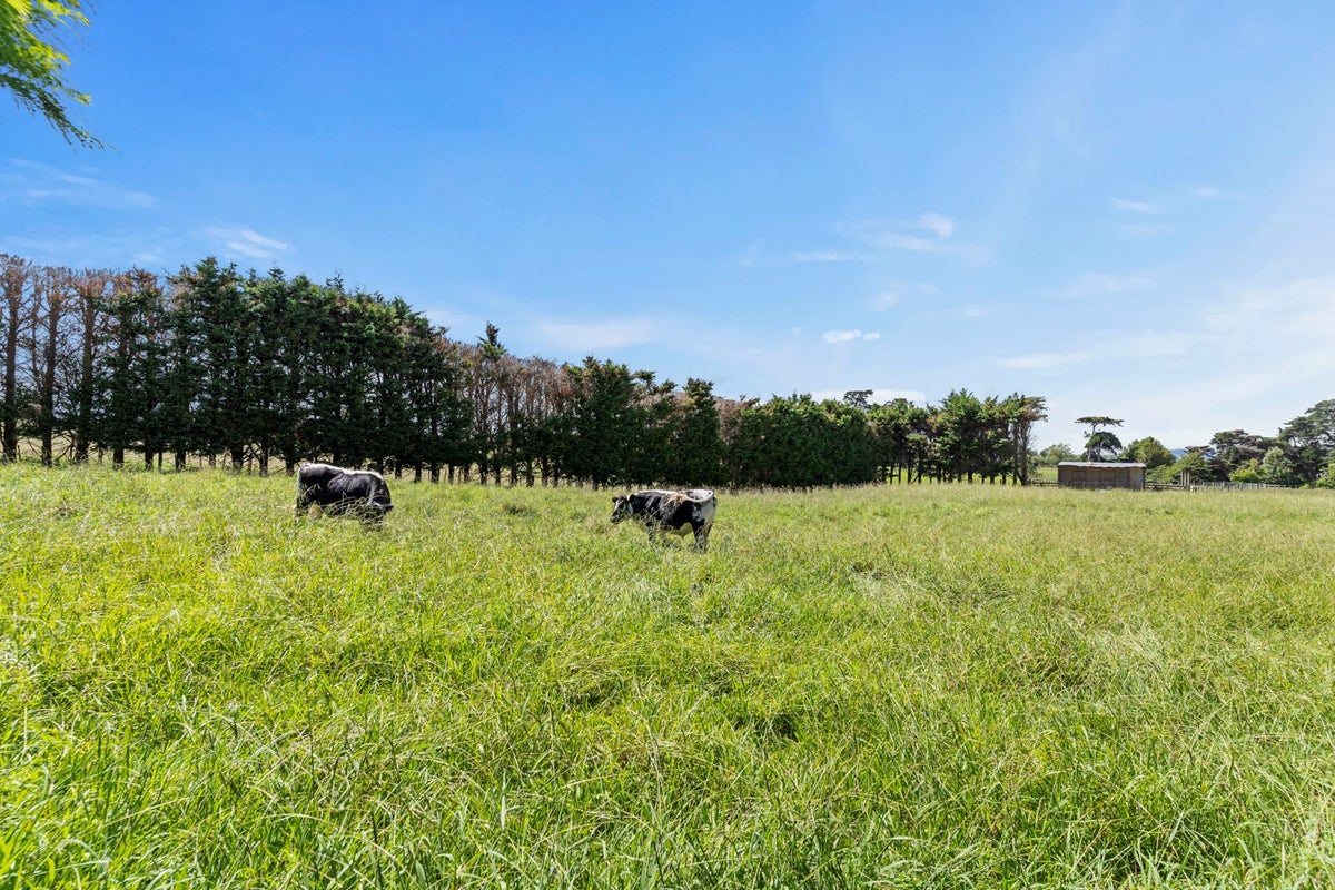 233C Walters Road, Karaka, Papakura - Carousel 29