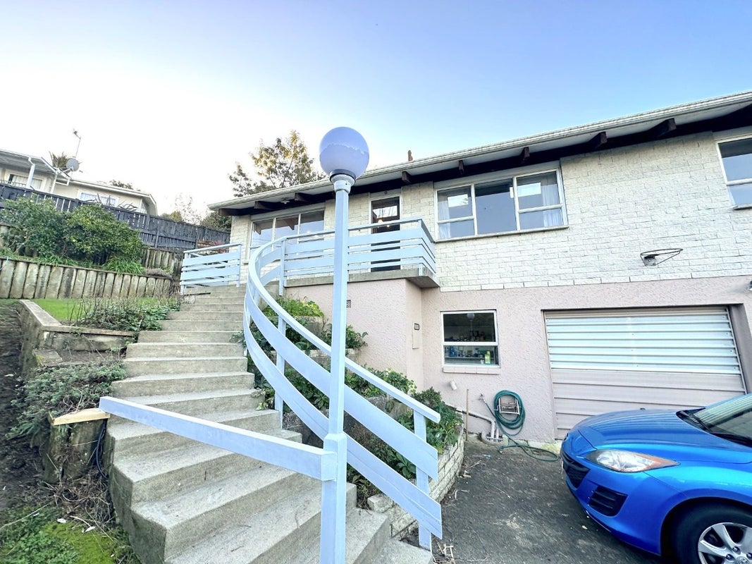 24B Carey Street, Maeroa, Hamilton - Carousel 1