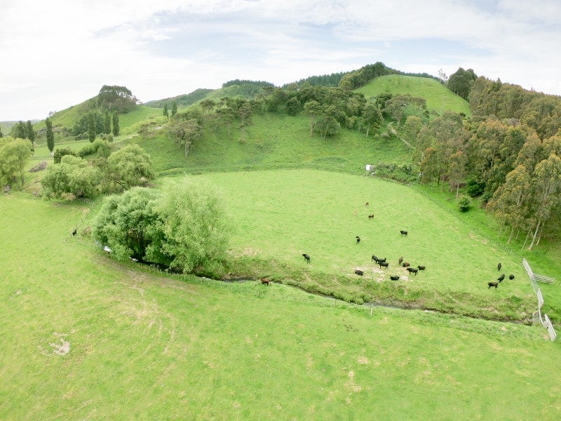 0 Waikupa Road, Okoia, WHANGANUI - Carousel 5