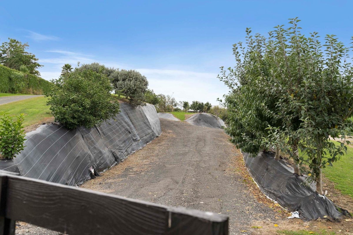 11G ROWE ROAD, Ohauiti, Tauranga - Carousel 14