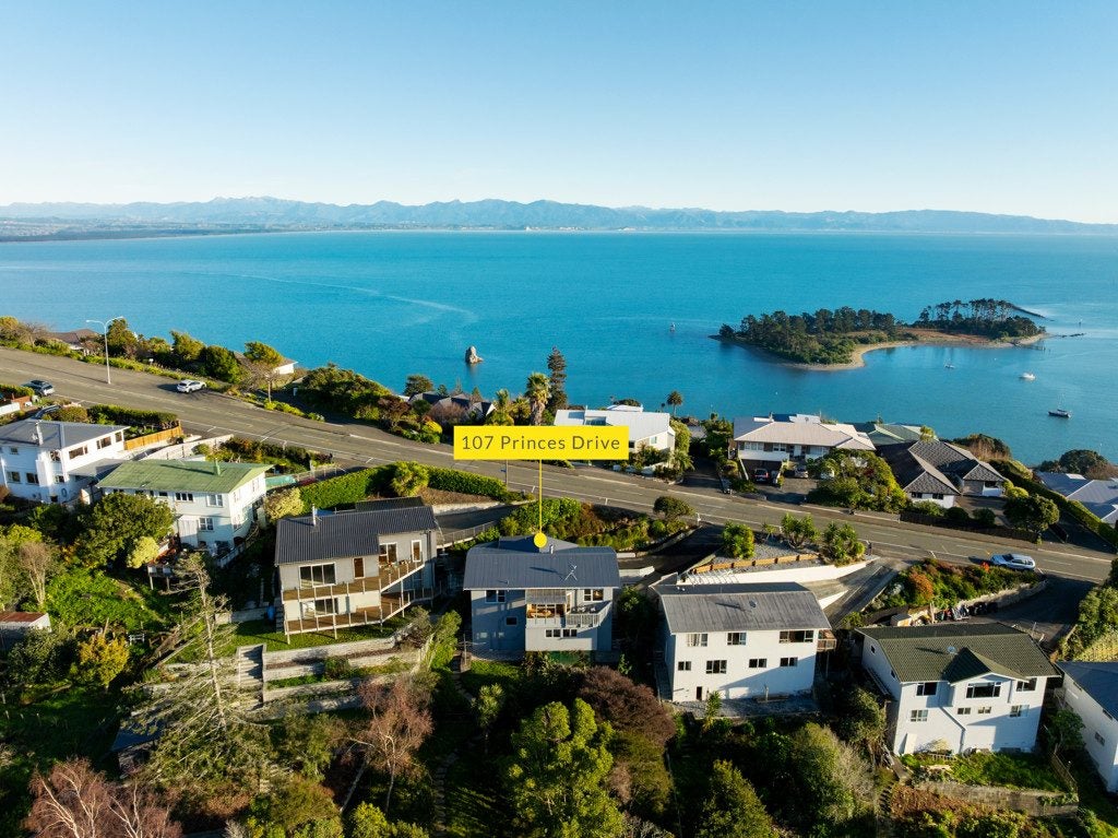 107 Princes Drive, Britannia Heights, Nelson - Carousel 1