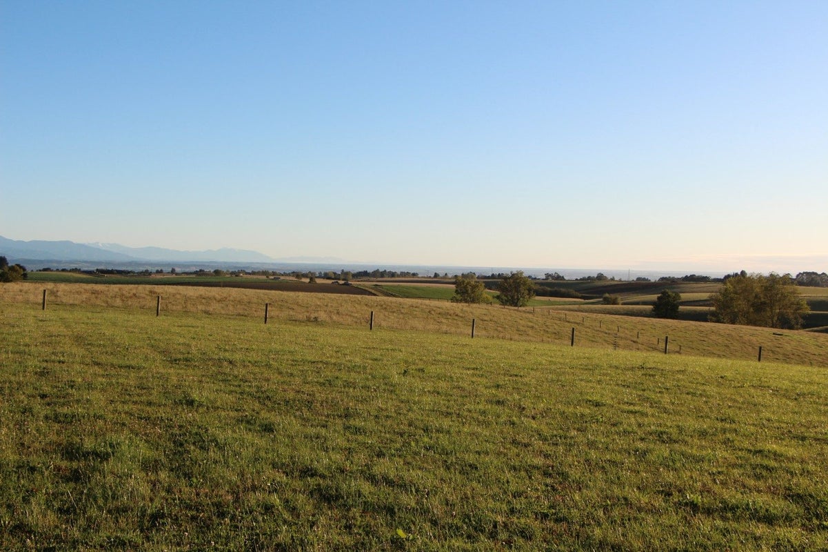 0 Hadlow Road, Claremont, Timaru - Carousel 8