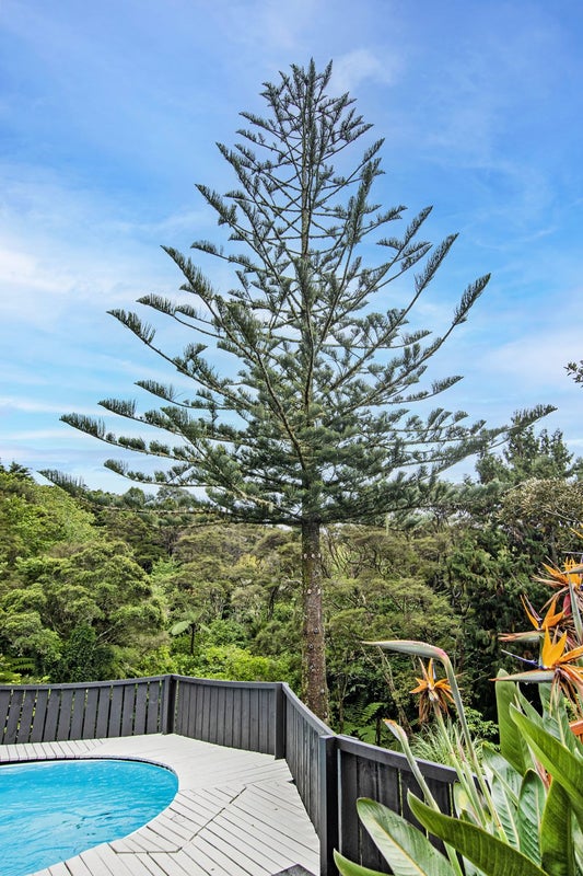 61A Russell Road, Kensington, Whangarei - Carousel 30