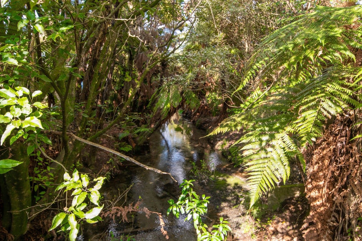3 Amokura Street, Fairy Springs, Rotorua - Carousel 28