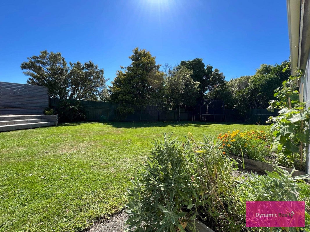 35 Kingston Street, Awapuni, Palmerston North - Carousel 20