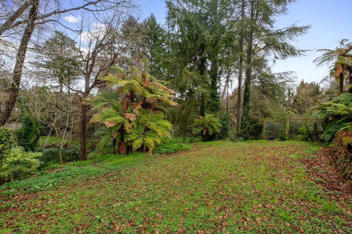 52 Pandora Avenue, Sunnybrook, Rotorua - Carousel 15