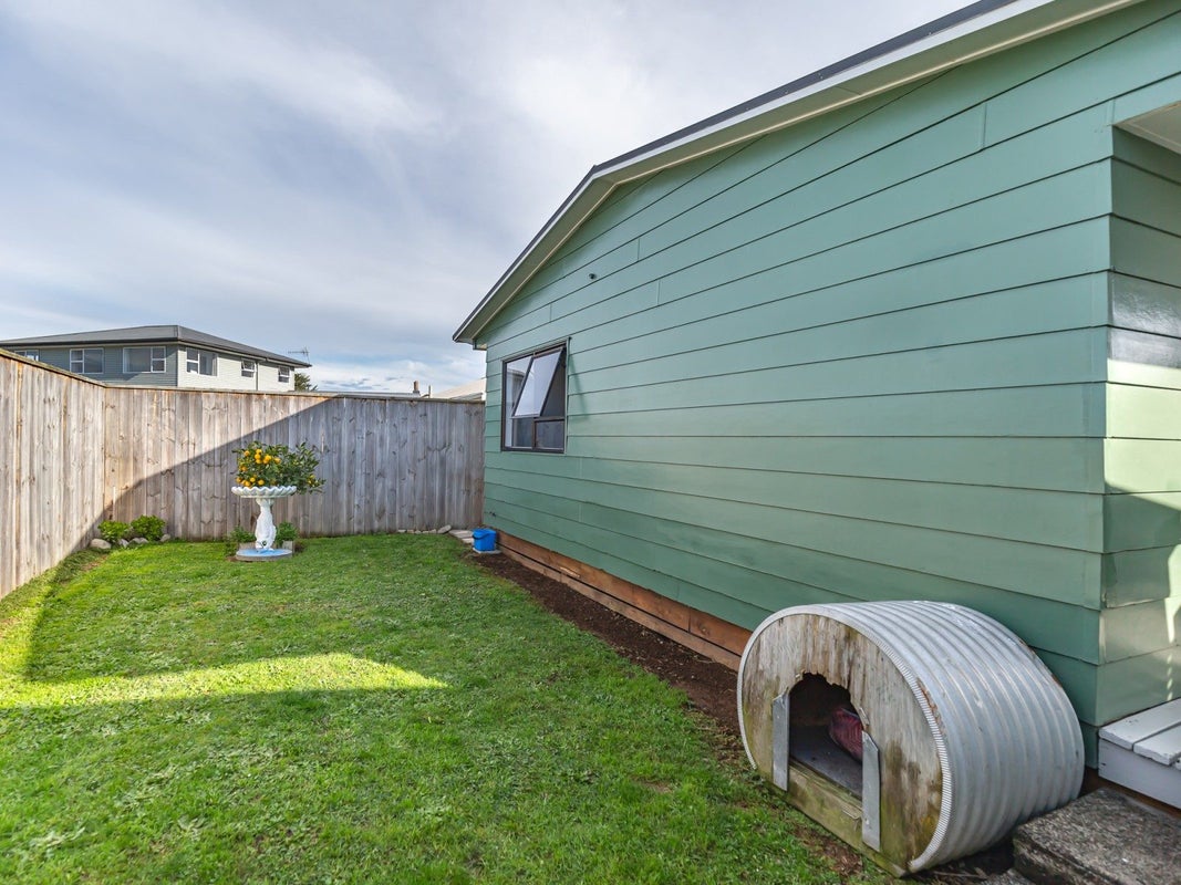 31 Balmoral Street, Levin, Levin - Carousel 13