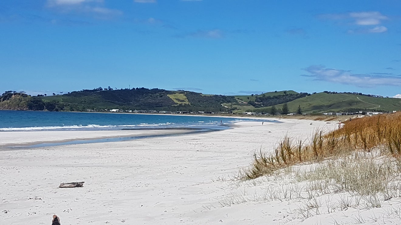 3 Jane Gifford Place, Warkworth - Carousel 21