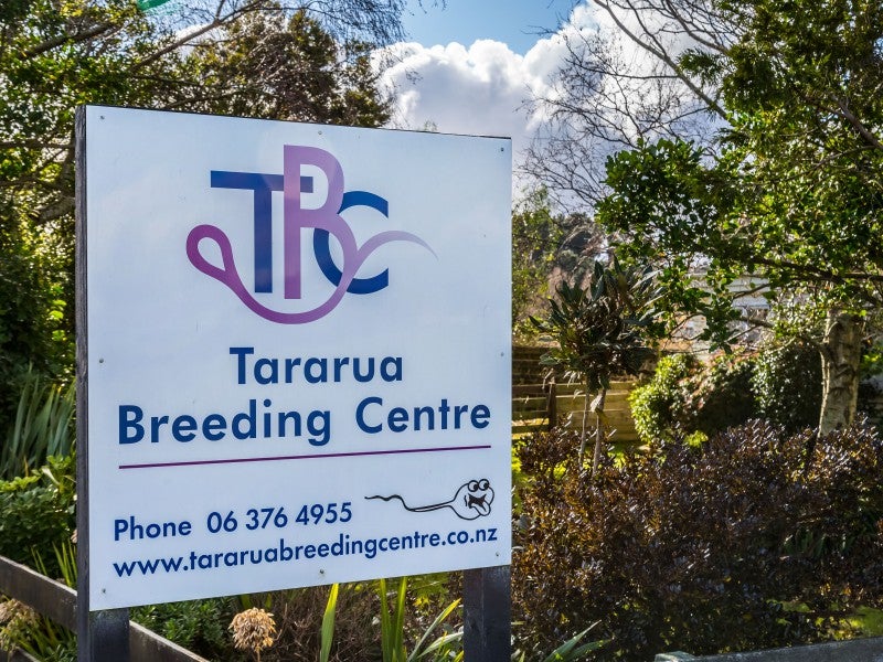 80541 Masterton Road, Woodville, Woodville - Carousel 1