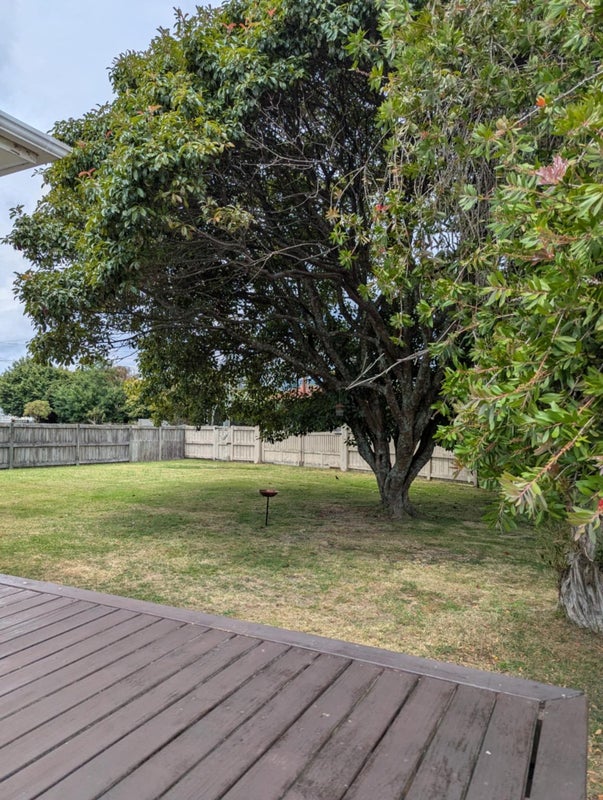 4 Johnston Crescent, Hillcrest, Rotorua - Carousel 20