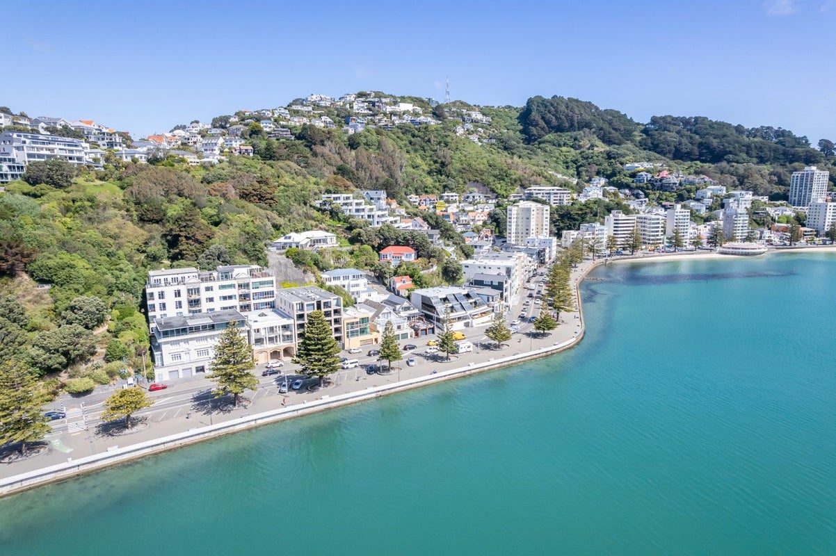 1/346 Oriental Parade, Oriental Bay, Wellington - Carousel 1