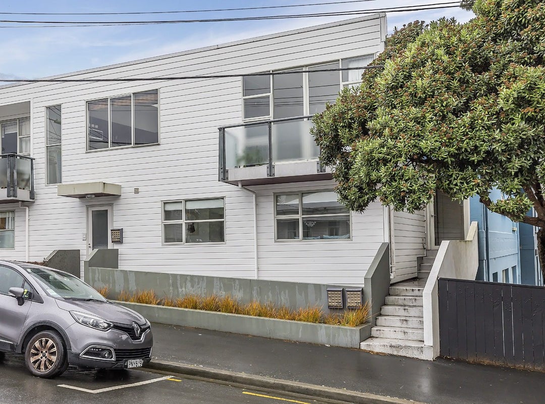 203 Tasman Street, Mount Cook, Wellington - Carousel 20