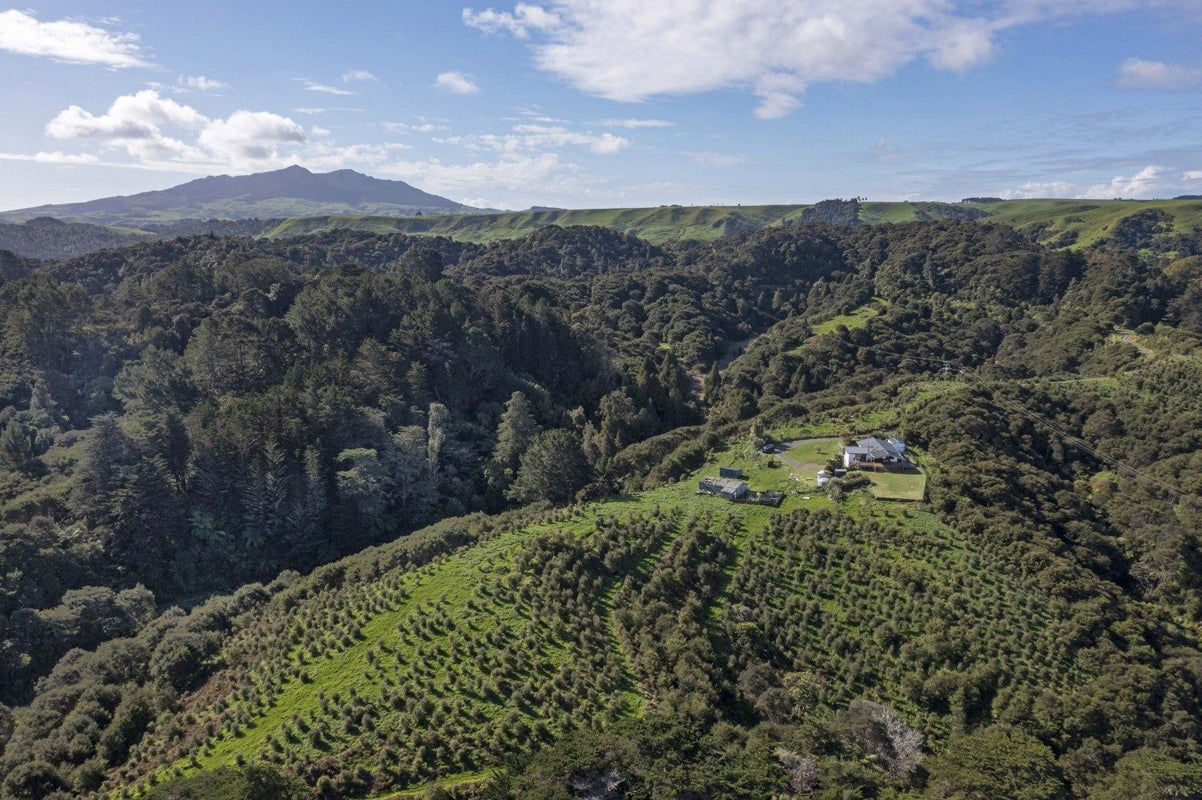 920A Te Papatapu Road, Te Mata - Carousel 39