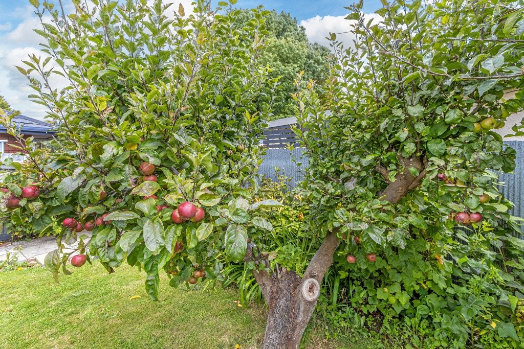 35 Daniels Road, Redwood, Christchurch - Carousel 17