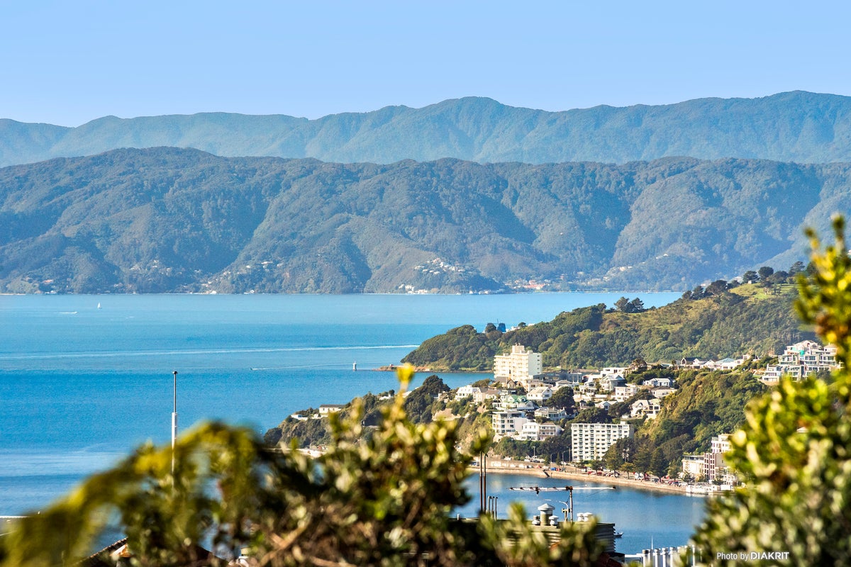 63 Central Terrace, Kelburn, Wellington - Carousel 2